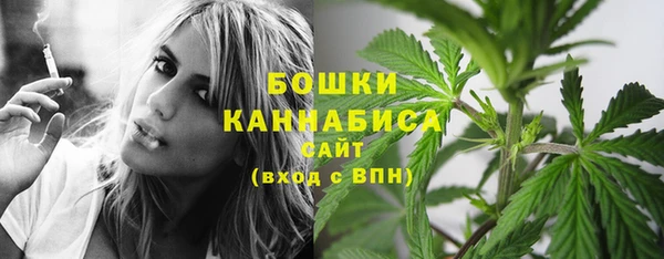 PSILOCYBIN Арсеньев